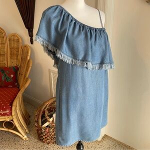 SPLENDID Blue Chambray Soft Denim Ruffle Shoulder Pullover Dress! Medium